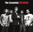 INCUBUS - THE ESSENTIAL INCUBUS For Discount